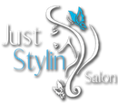 Just Stylin Salon logo with silver cursive text, blue accents, and a flowing floral silhouette