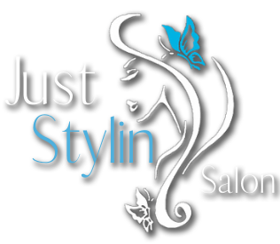 Just Stylin Salon logo with silver cursive text, blue accents, and a flowing floral silhouette