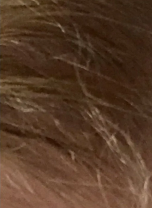 Close-up of brown hair strands against a blurred background