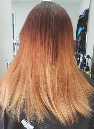 Long straight ombré hair from dark brown to blonde, viewed from the back indoors.